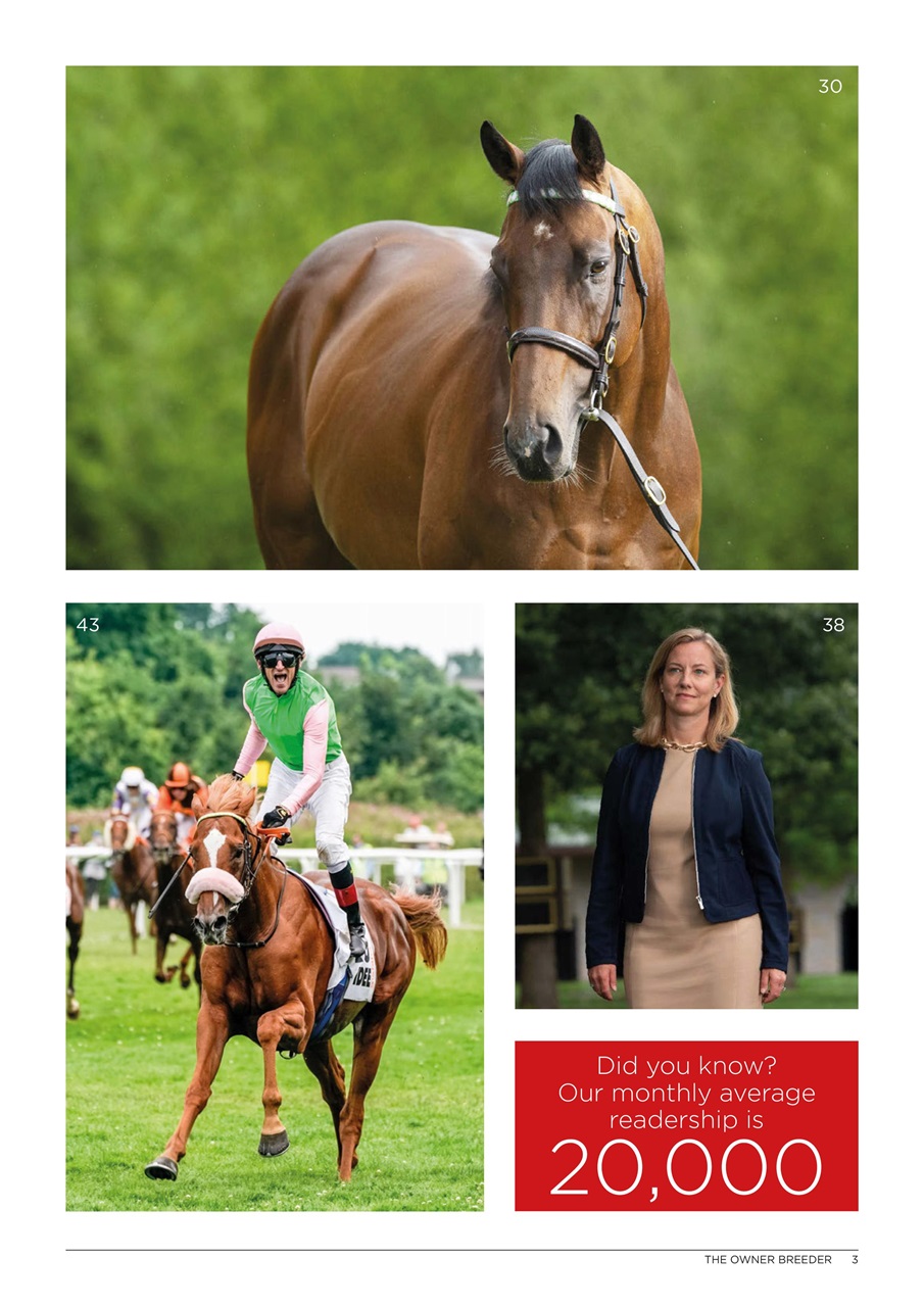 The Owner Breeder Preview Pages