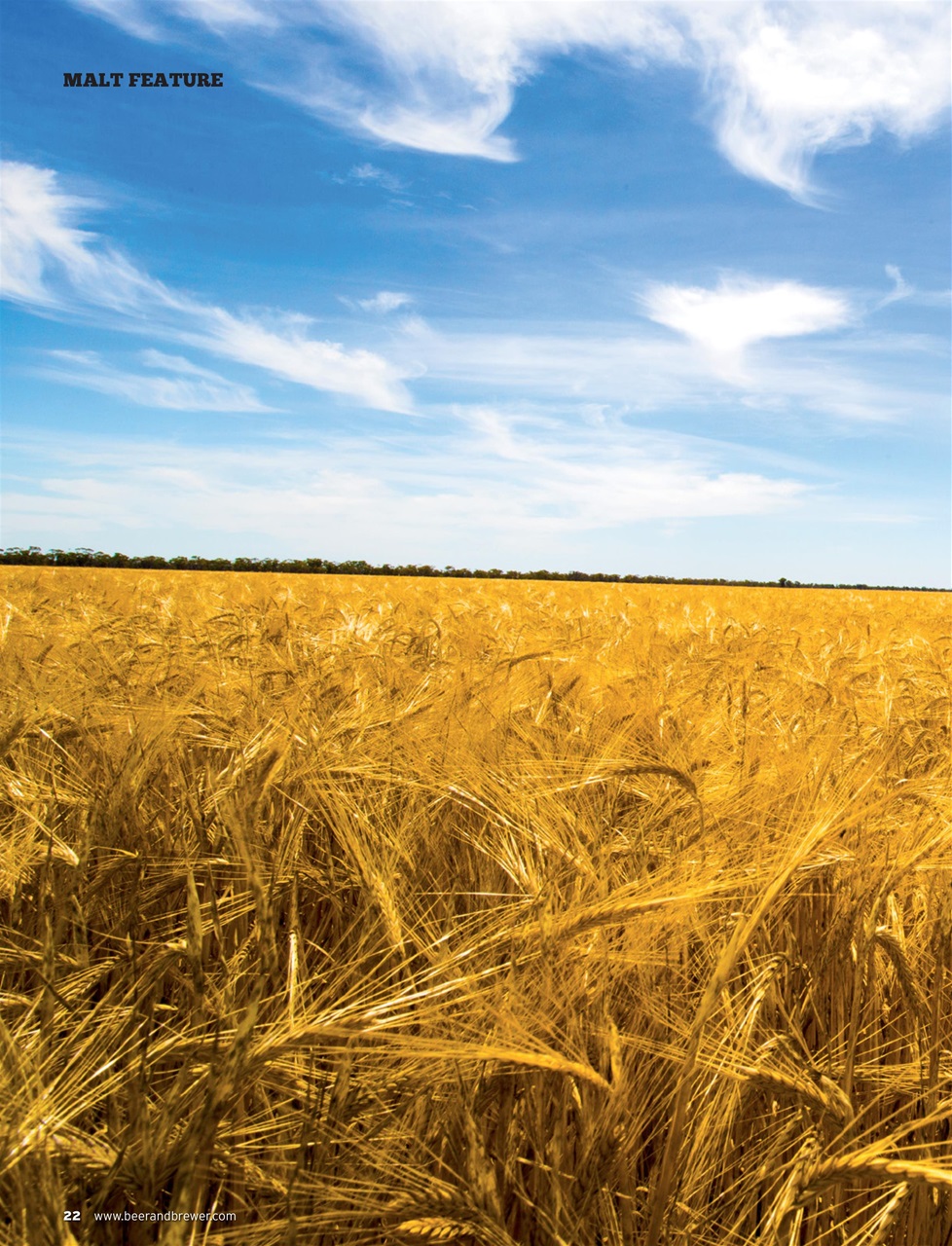 Beer and Brewer Preview Pages