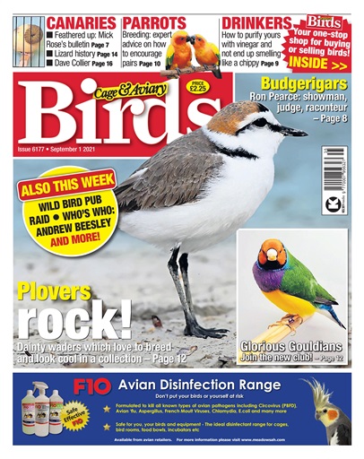 Cage & Aviary Birds issue 