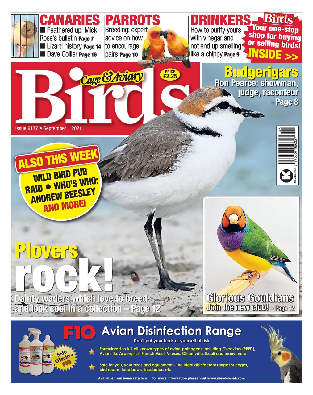 Cage & Aviary Birds Preview Pages