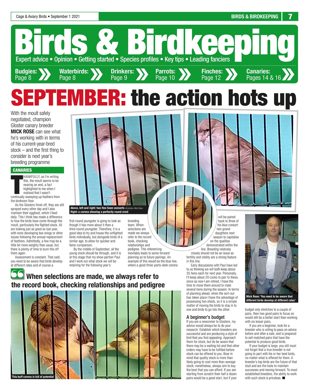 Cage & Aviary Birds Preview Pages
