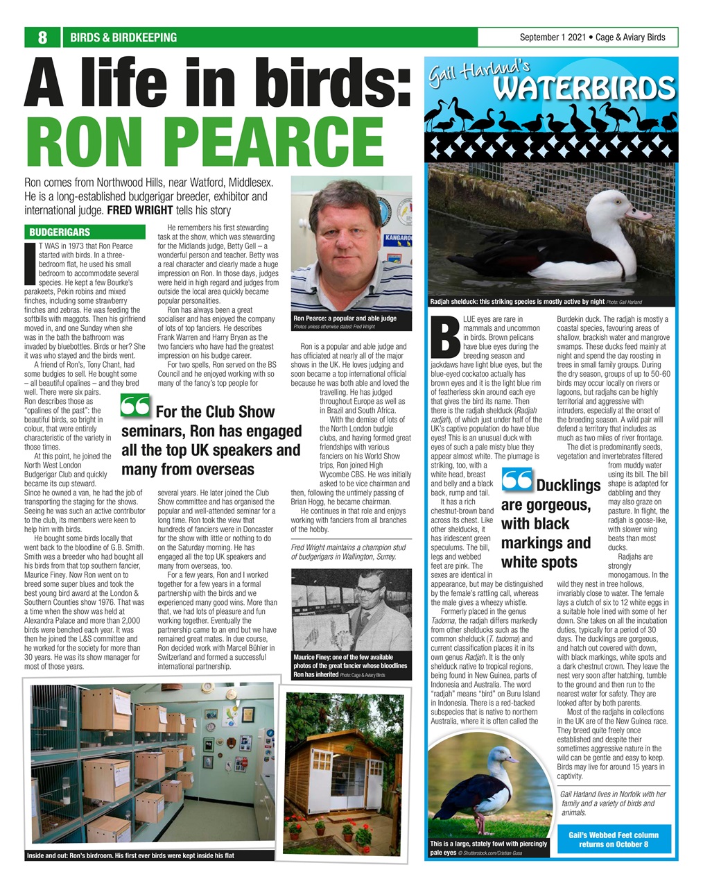 Cage & Aviary Birds Preview Pages