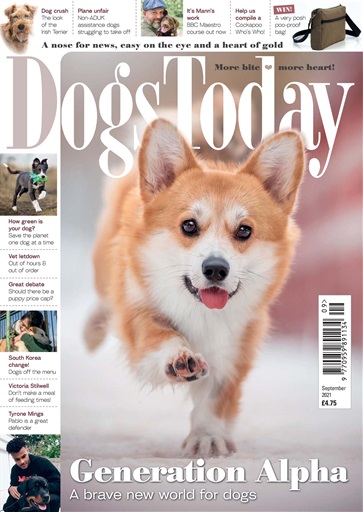 Dogs Today Magazine issue 