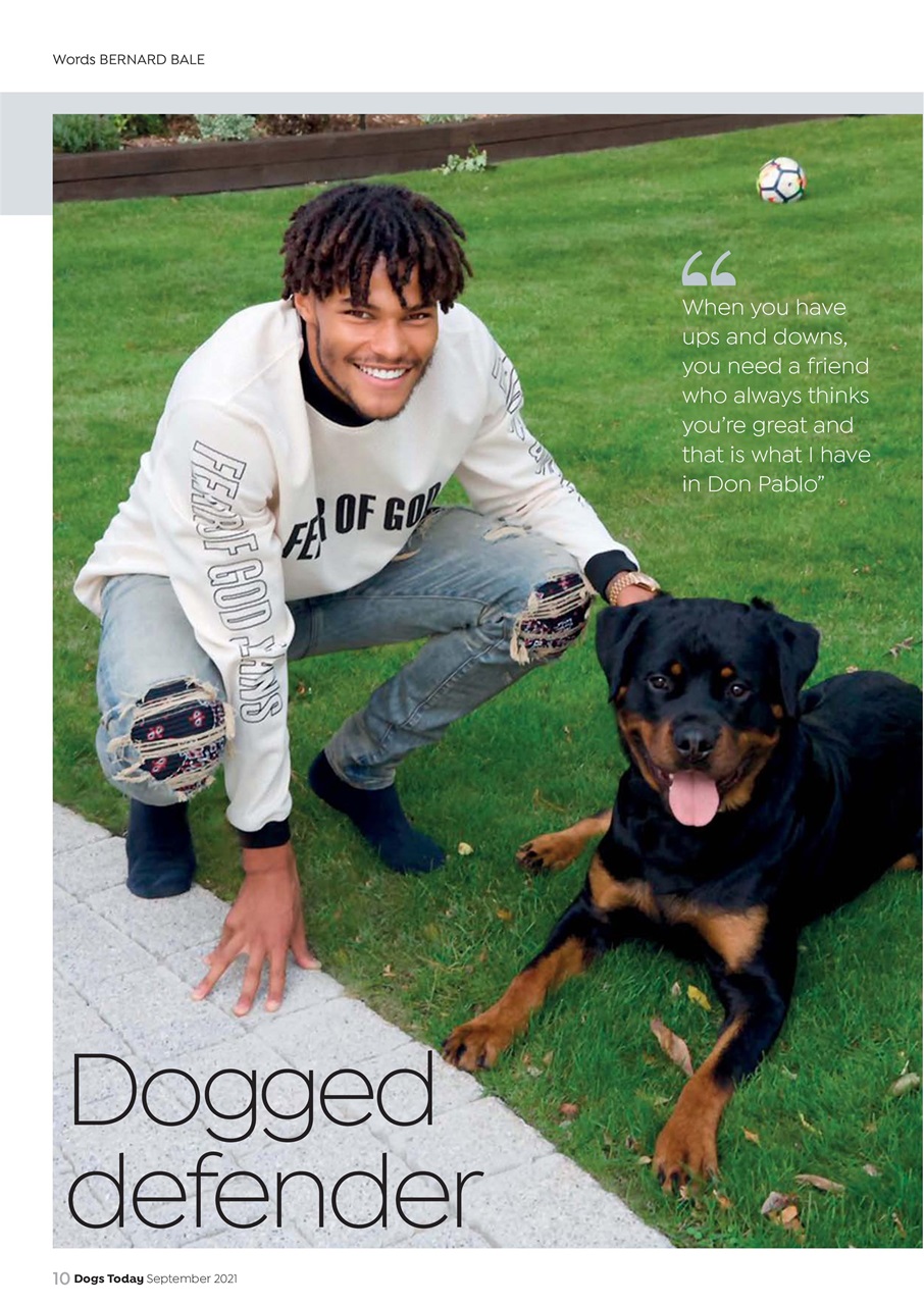 Dogs Today Magazine Preview Pages