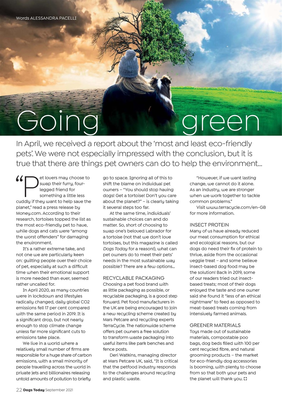 Dogs Today Magazine Preview Pages
