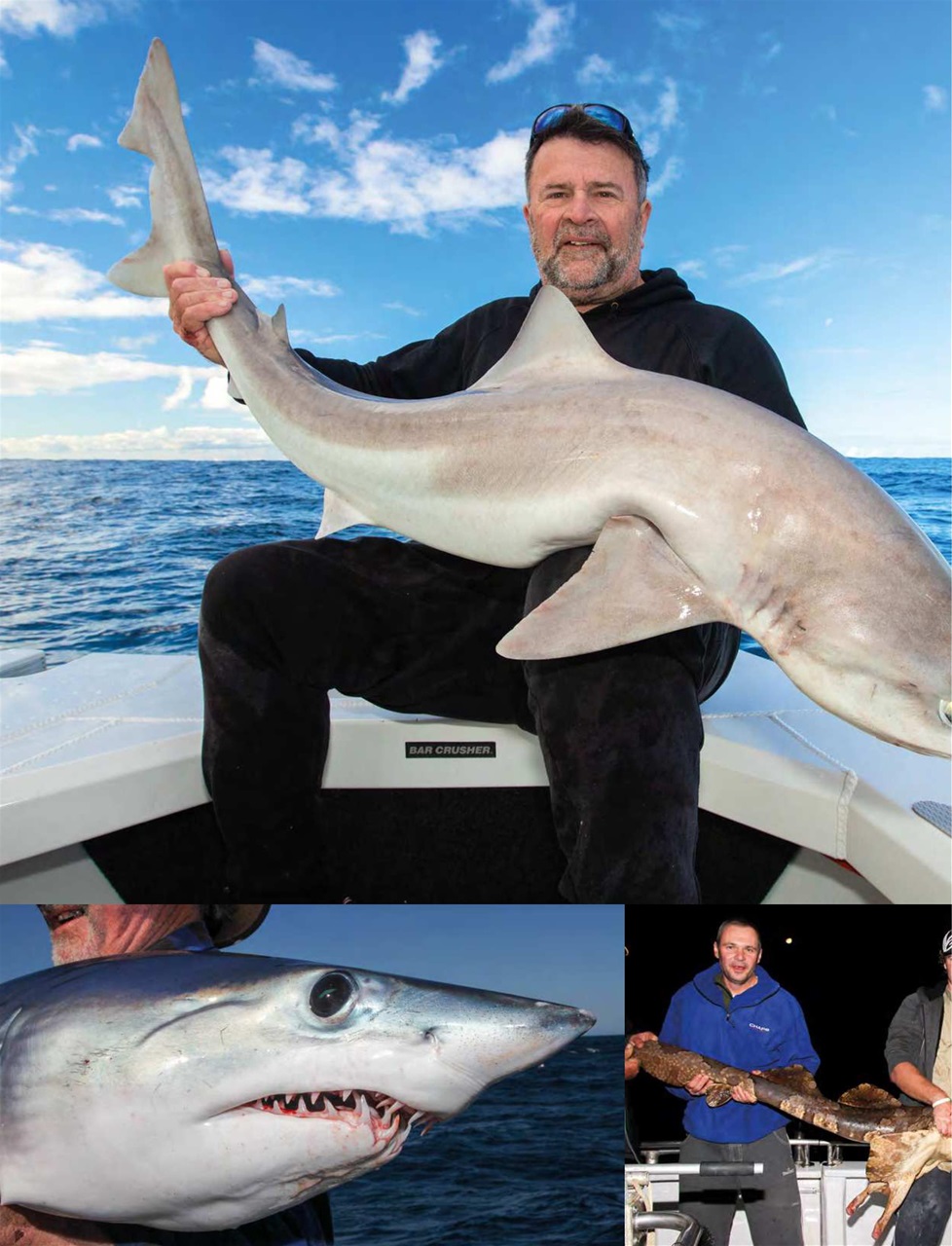 South Australian Angler Preview Pages