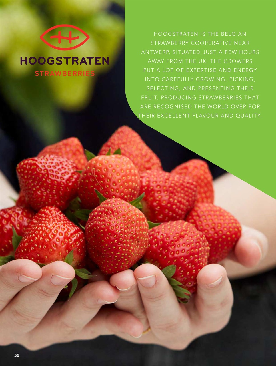 Chef & Restaurant Magazine Preview Pages