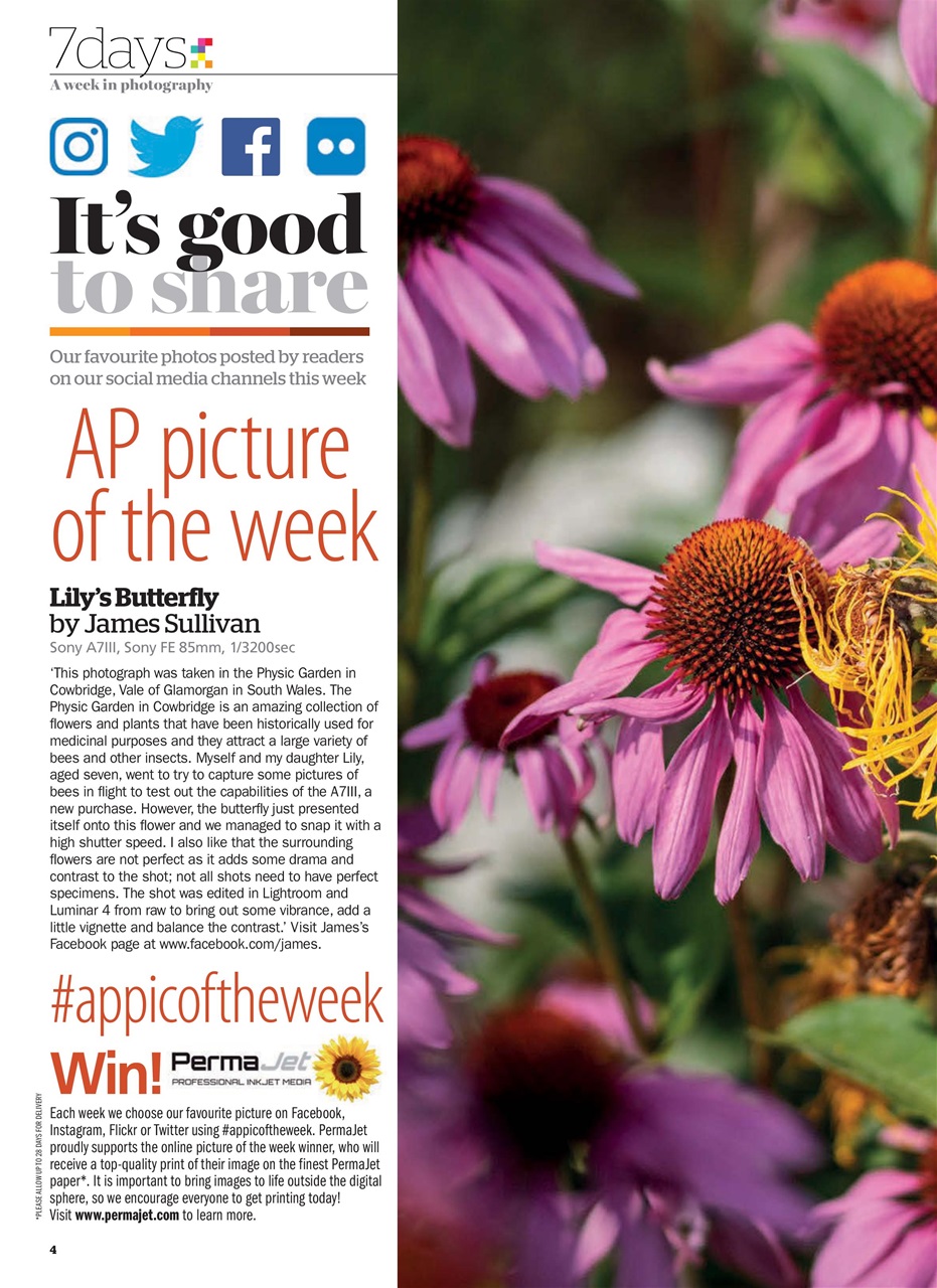 Amateur Photographer Preview Pages