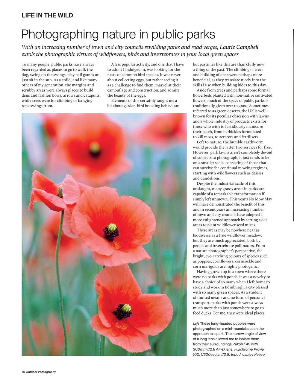 Outdoor Photography Preview Pages