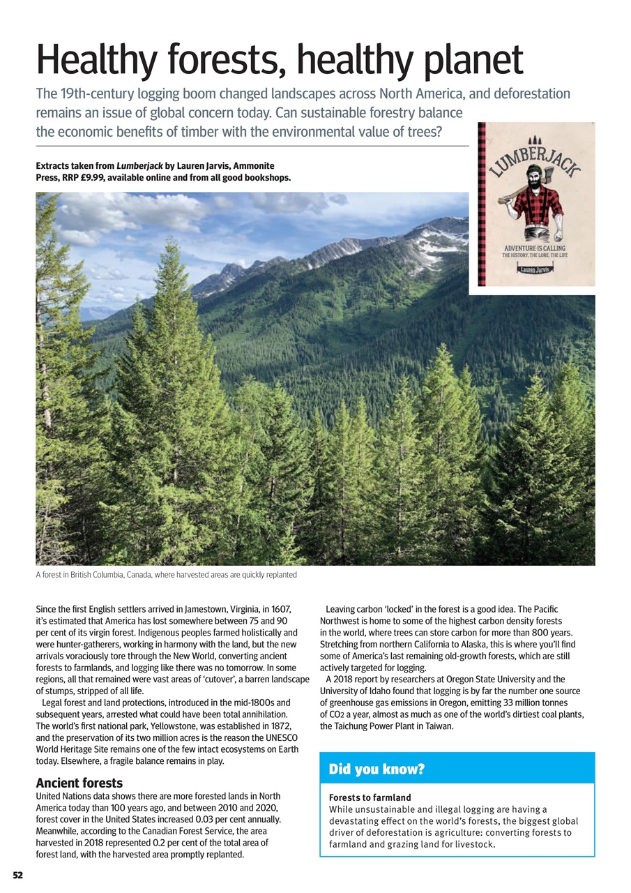 Woodturning Preview Pages