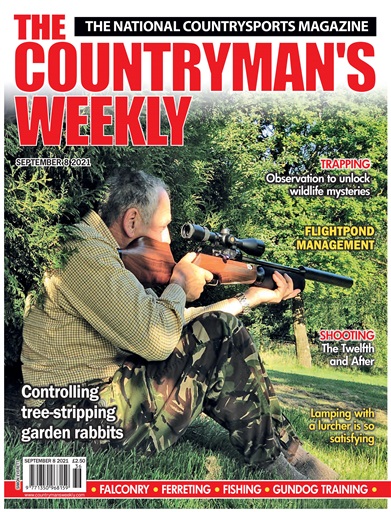 Countryman's Weekly issue 