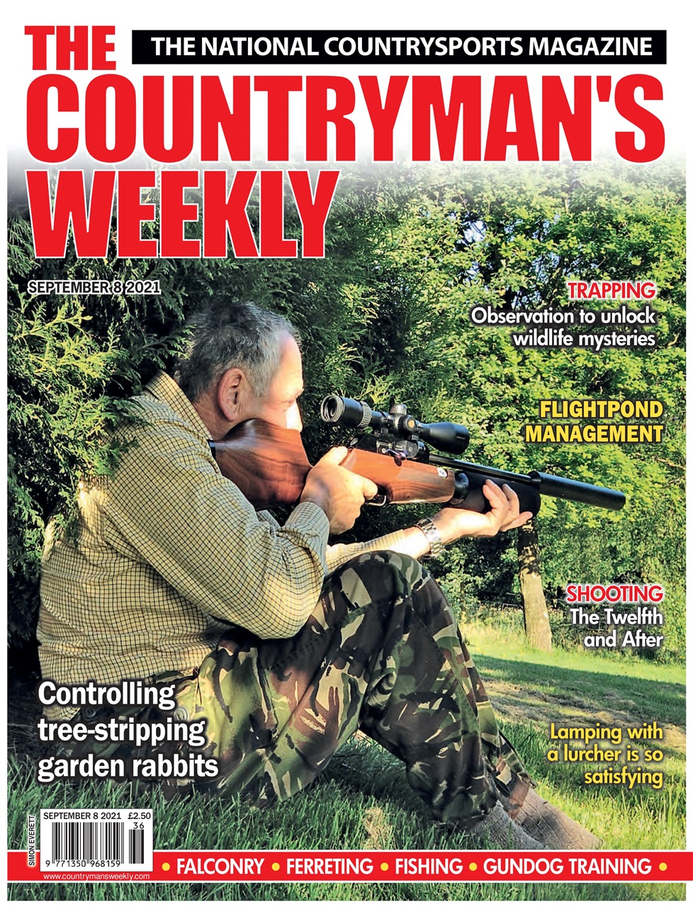 Countryman's Weekly Preview Pages