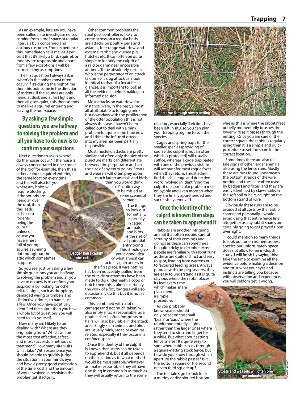 Countryman's Weekly Preview Pages
