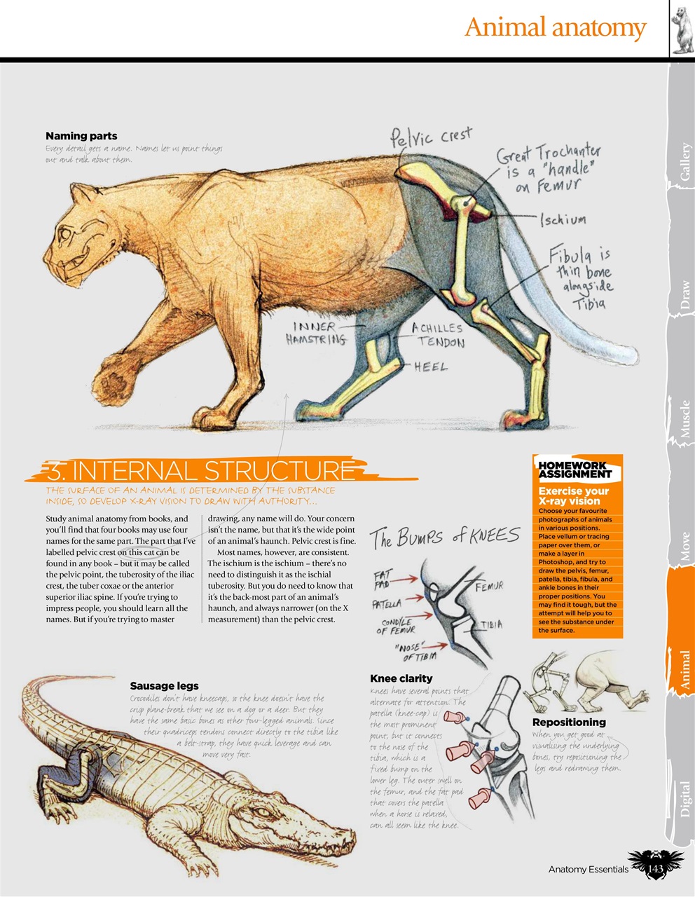 Creative Bookazine Preview Pages