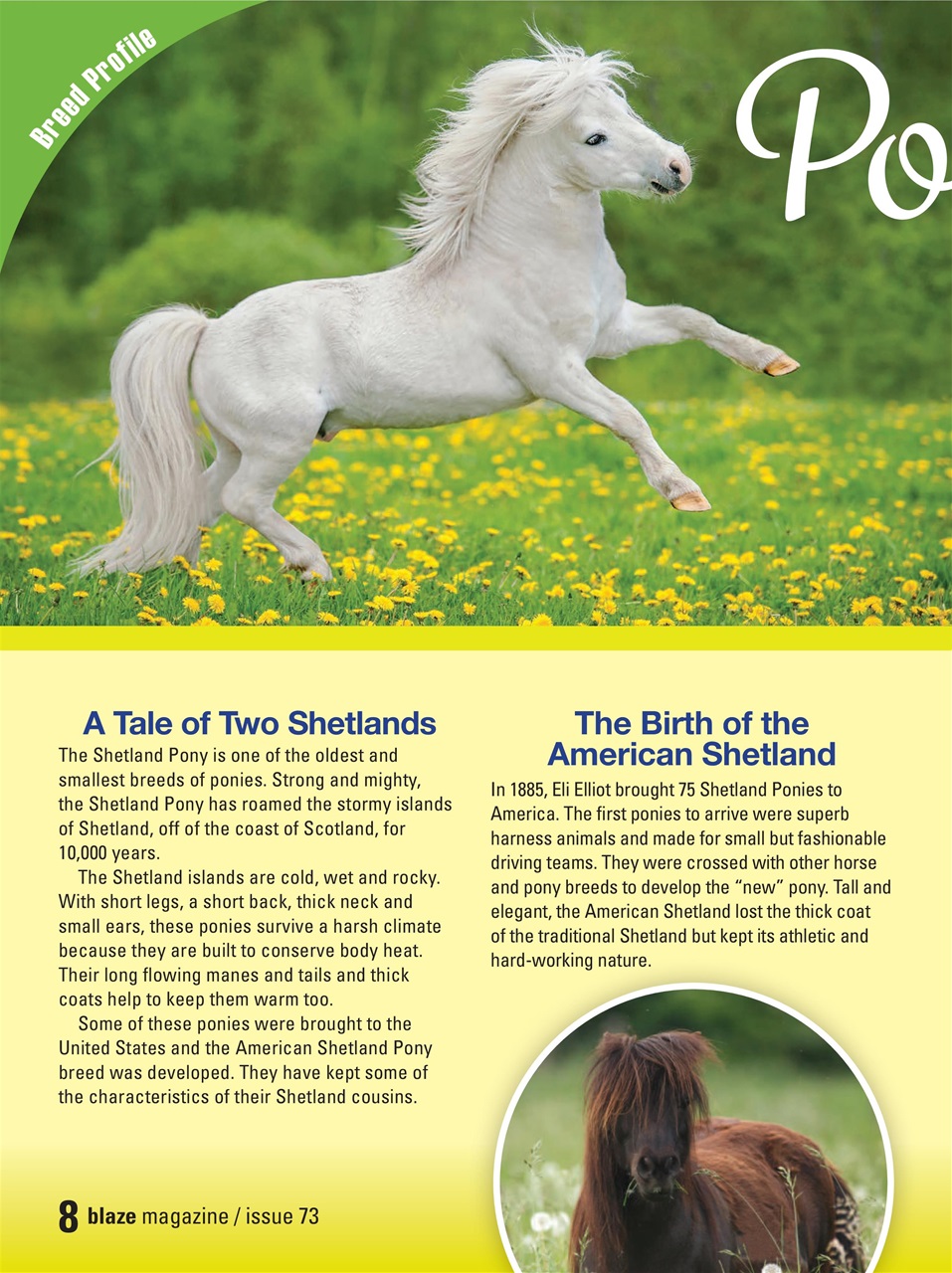 Blaze Magazine For Horse Crazy Kids Preview Pages