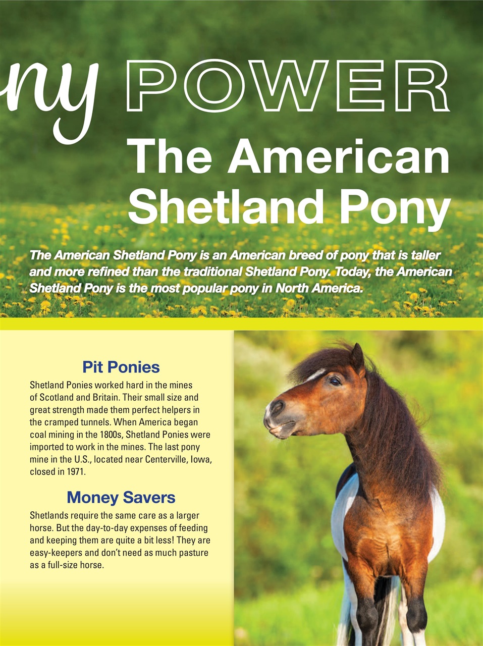 Blaze Magazine For Horse Crazy Kids Preview Pages