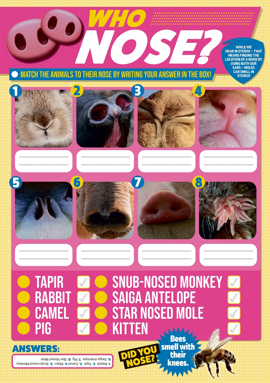 Animal Planet Kids Preview Pages