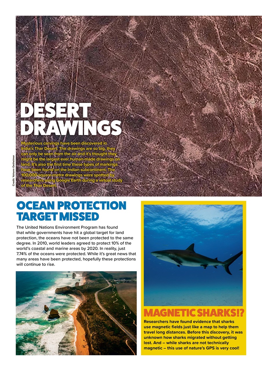 Animal Planet Kids Preview Pages