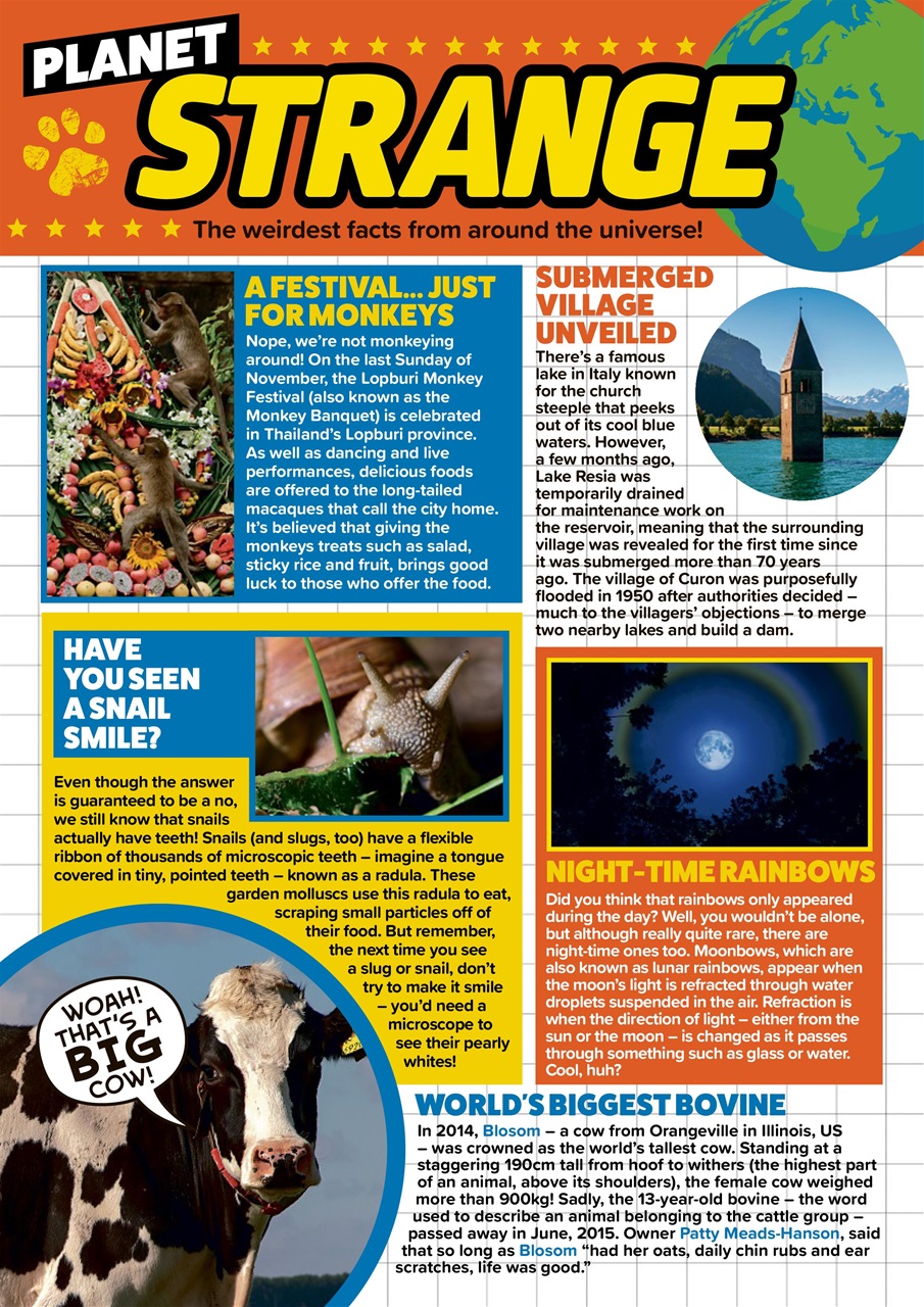 Animal Planet Kids Preview Pages