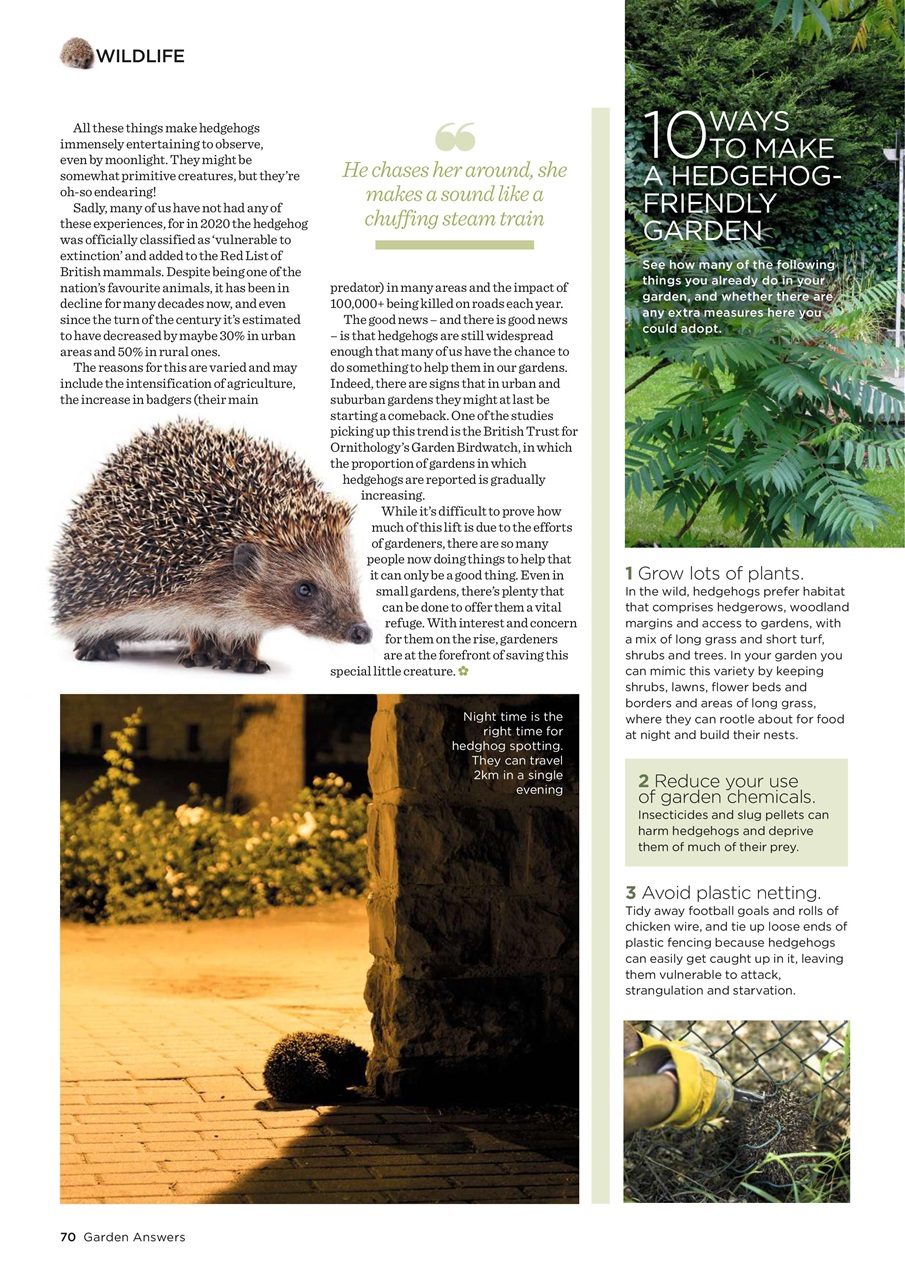 Garden Answers Preview Pages