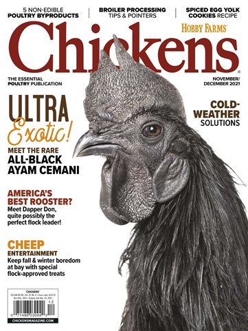 Chickens Magazine issue Nov/Dec