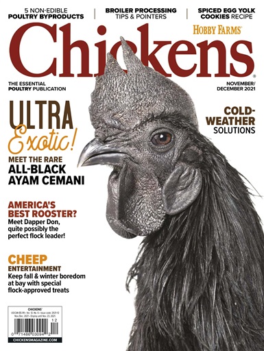 Chickens Magazine issue 