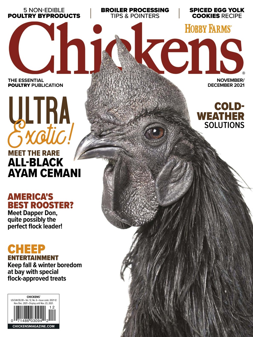 Chickens Magazine Preview Pages