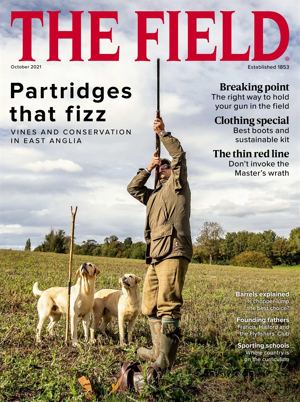 The Field Preview Pages