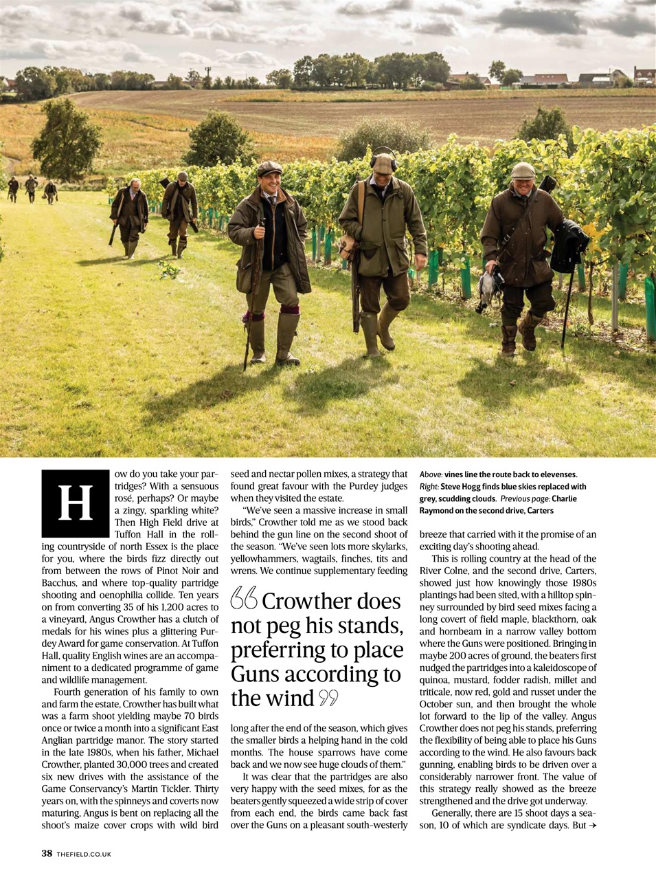 The Field Preview Pages