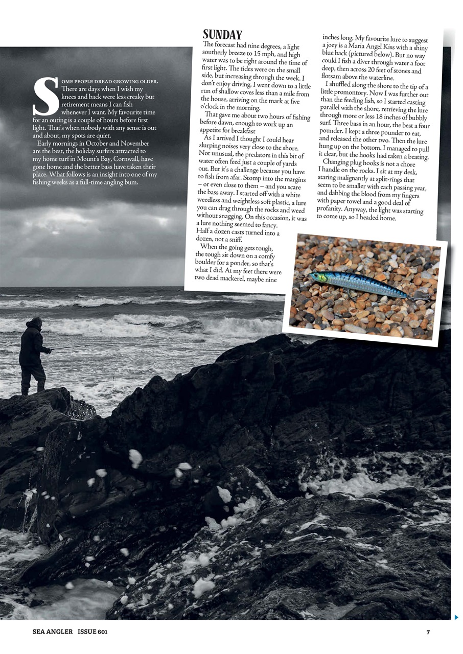 Sea Angler Preview Pages