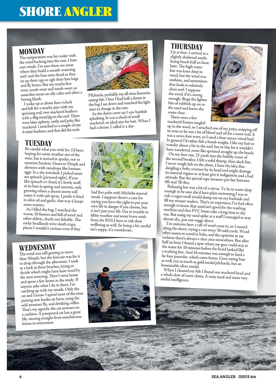 Sea Angler Preview Pages
