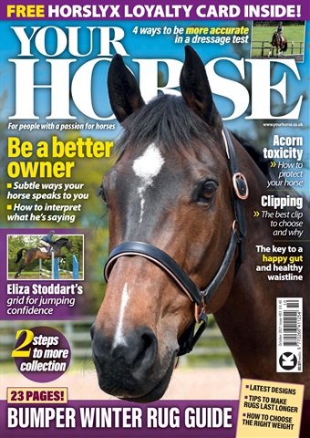 Your Horse issue October 21