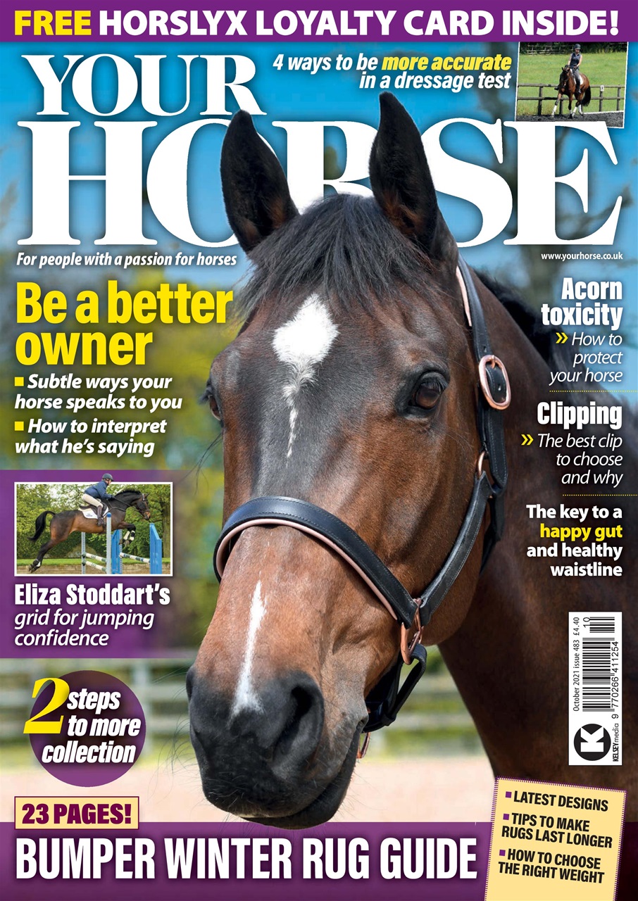 Your Horse Preview Pages