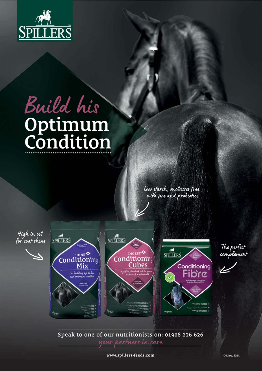Your Horse Preview Pages