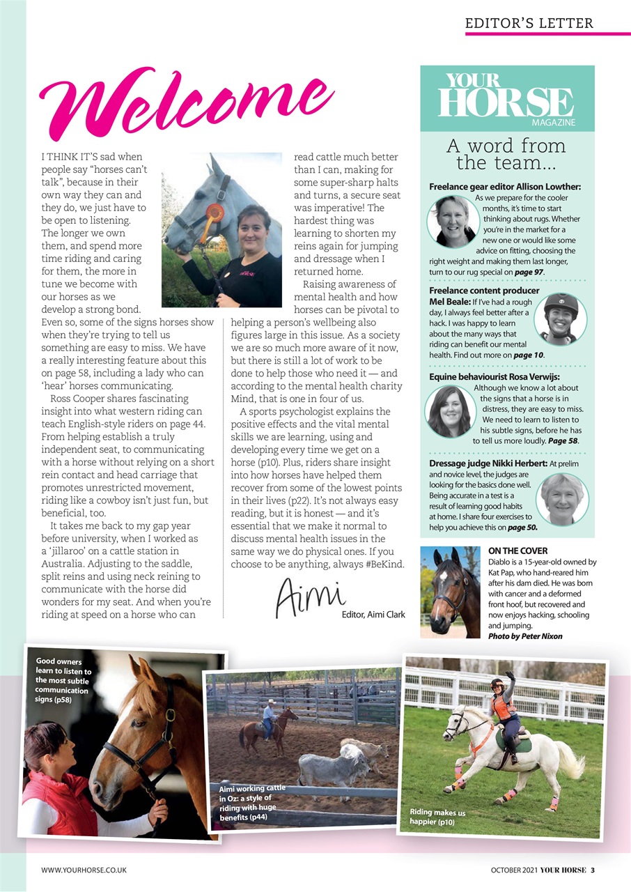 Your Horse Preview Pages
