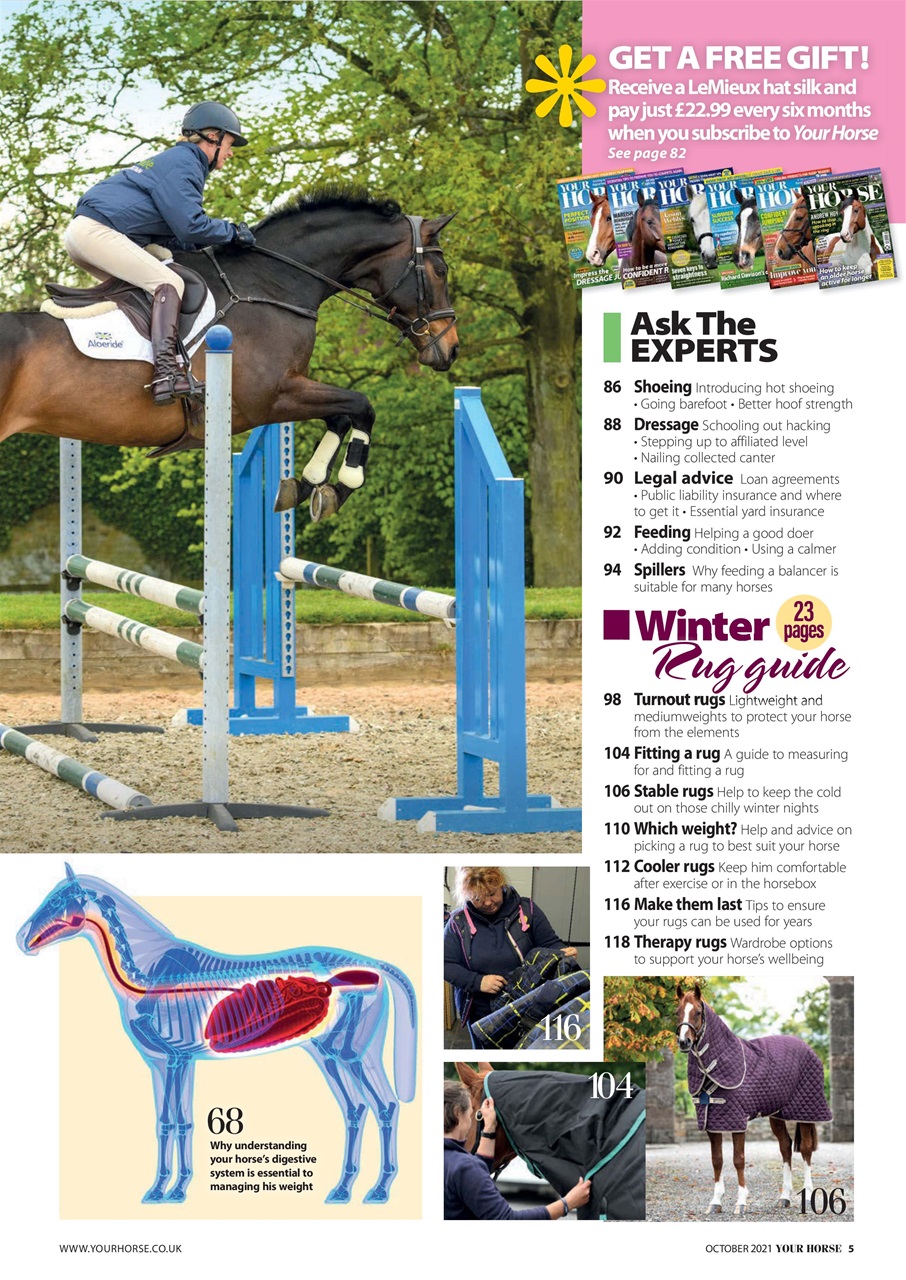 Your Horse Preview Pages