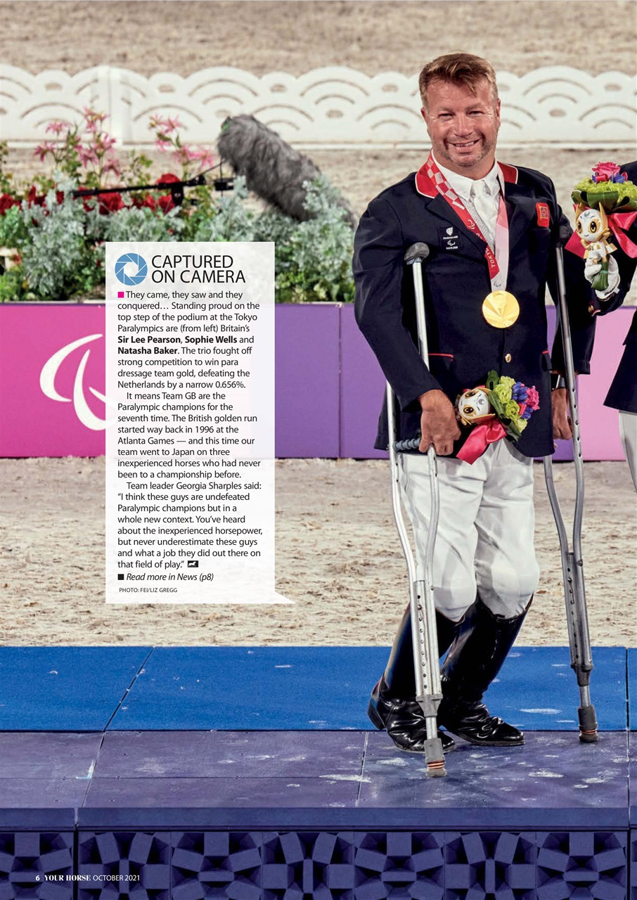 Your Horse Preview Pages