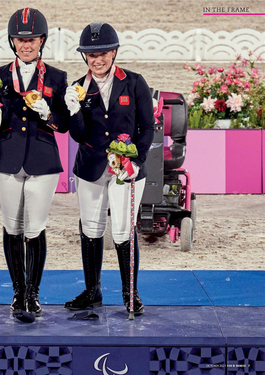 Your Horse Preview Pages