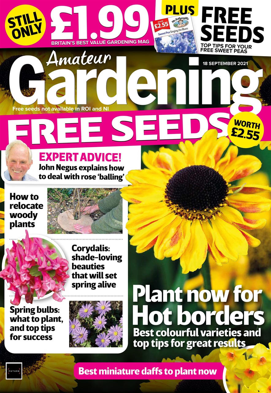 Amateur Gardening Preview Pages