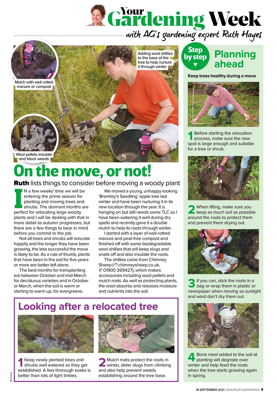 Amateur Gardening Preview Pages