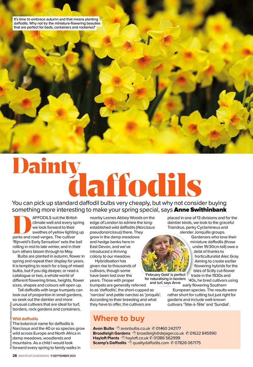 Amateur Gardening Preview Pages