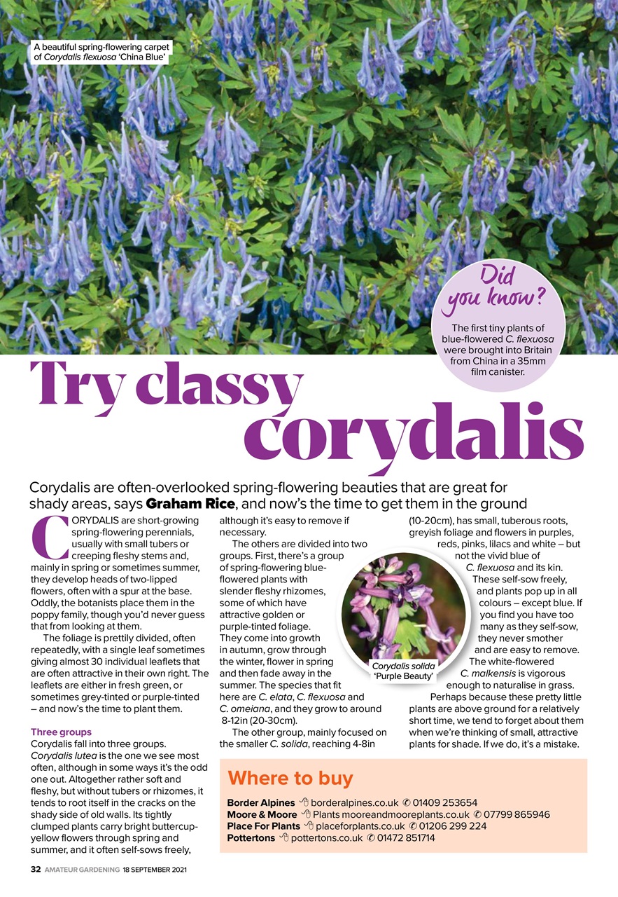 Amateur Gardening Preview Pages