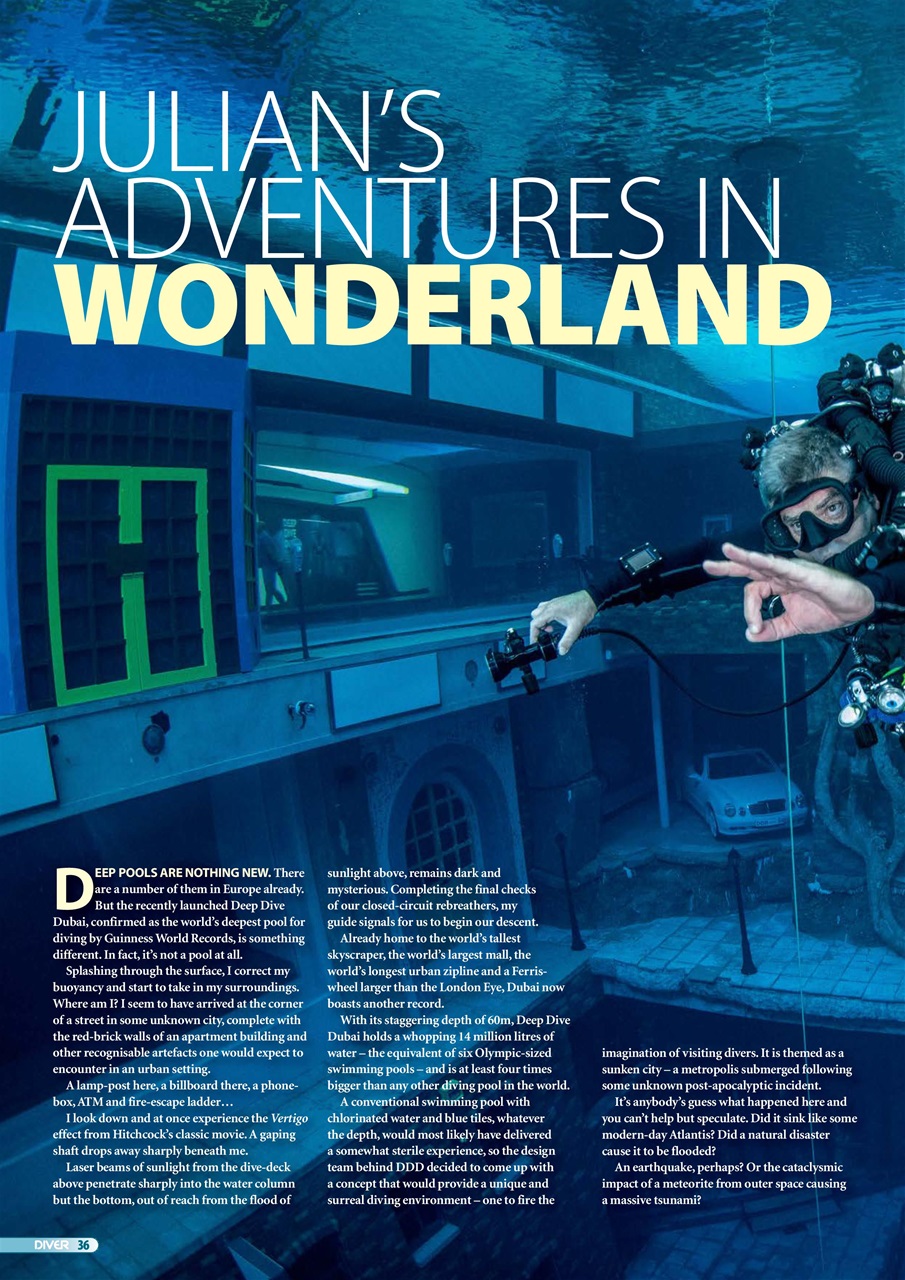 DIVER Preview Pages