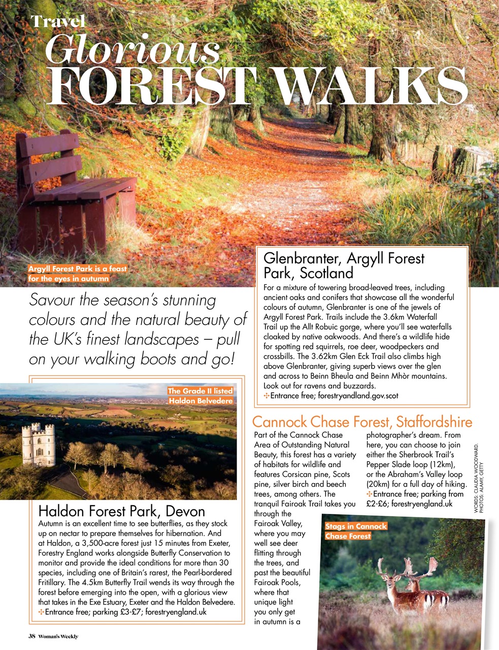 Woman's Weekly Preview Pages