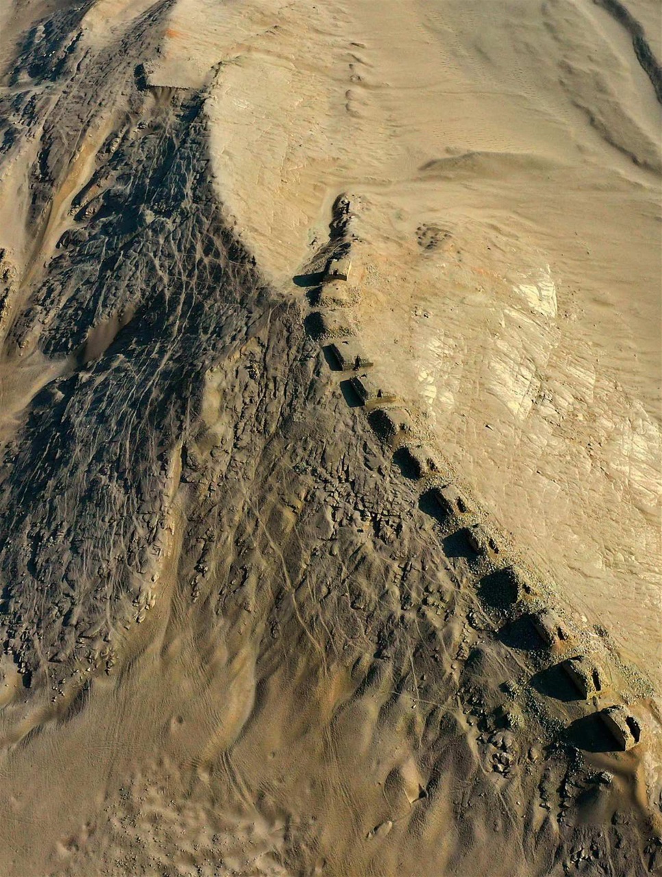 BBC Science Focus Magazine Preview Pages