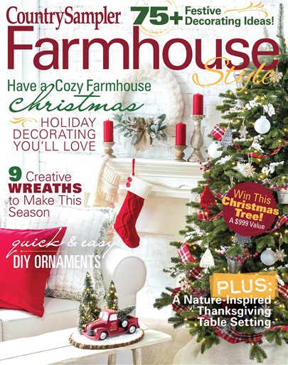 Farmhouse Style issue 