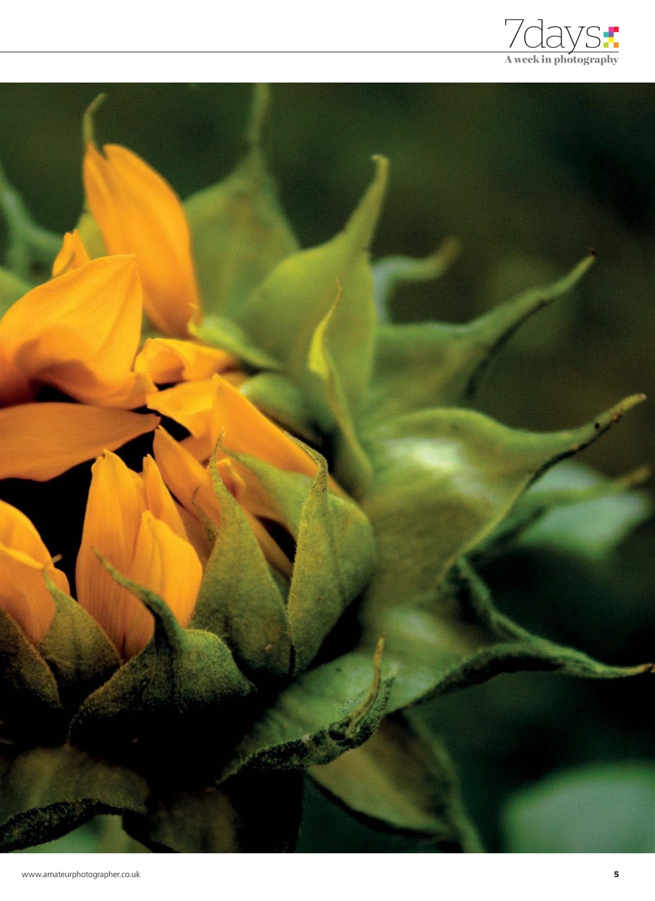 Amateur Photographer Preview Pages