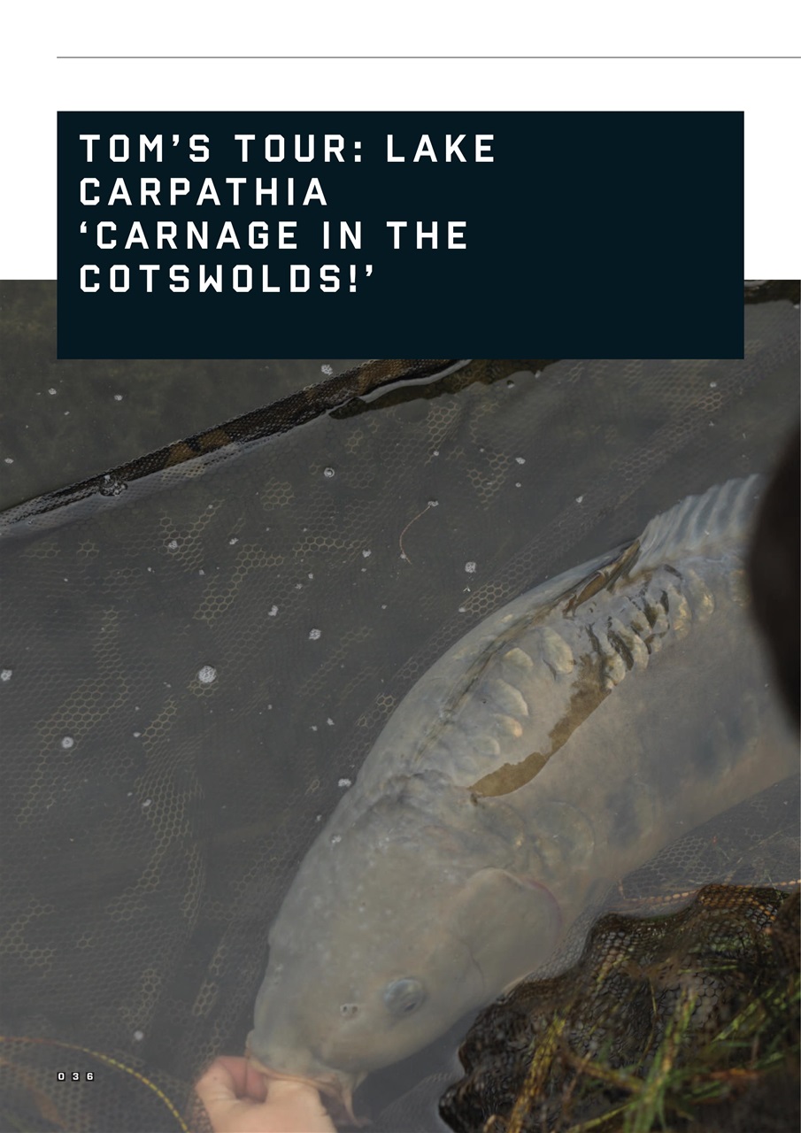 CARPology Magazine Preview Pages