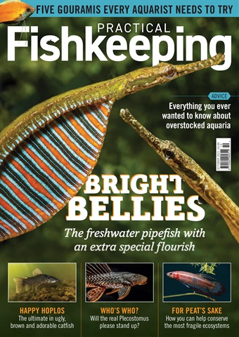 Practical Fishkeeping issue October 2021