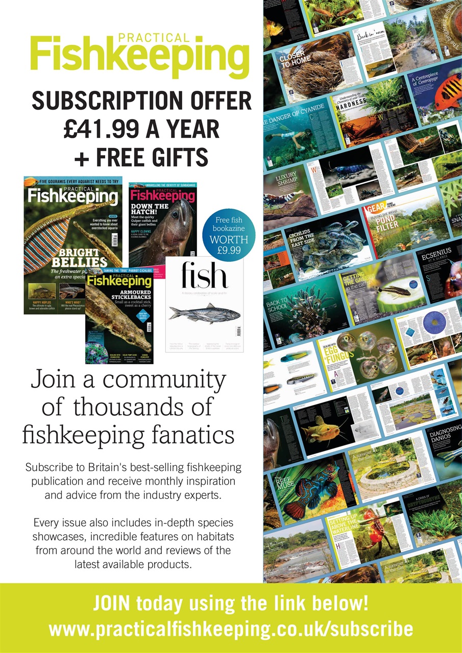 Practical Fishkeeping Preview Pages